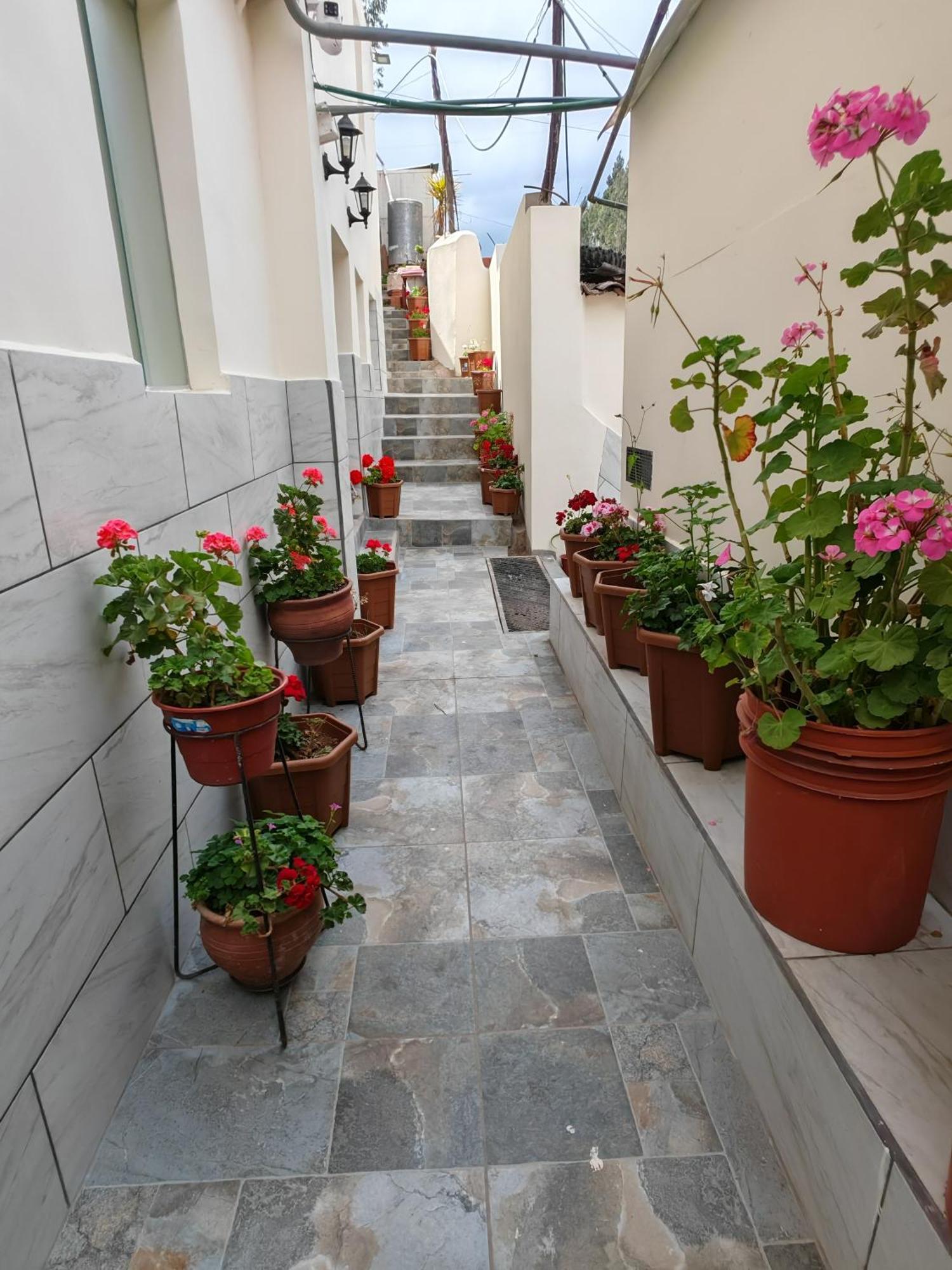 Centro Cusco Inti Apartment Стая снимка